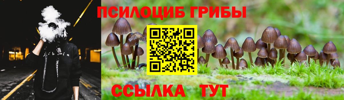 Россошь  Галлюциногенные грибы мухоморы  Вход с VPN  Галлюциногенные грибы ЛСД 